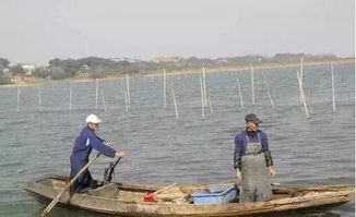 聚焦水韻江蘇 環(huán)保技術(shù)驅(qū)動，多地水污染防治成效顯著